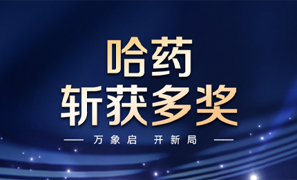 【喜讯】万象启，开新局，利博官网斩获多枚奖项